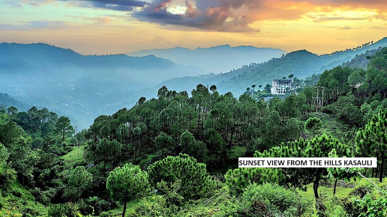 Process to Buy Property in the Hills: Hill Homes